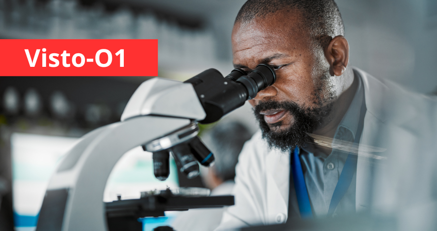 Saiba mais sobre o visto O-1 para pessoas com habilidades extraordinárias